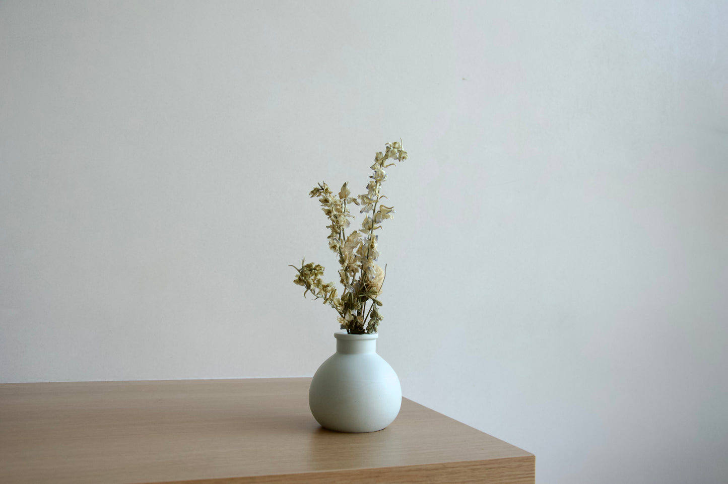 Vaasje 'Gloria'