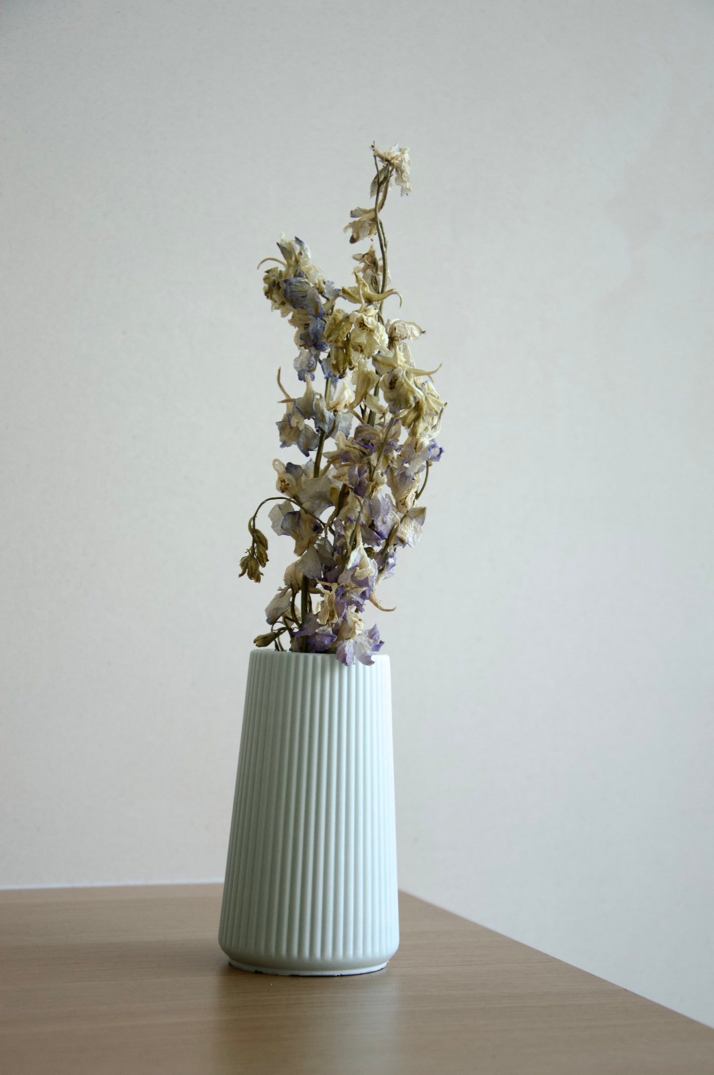 Vaasje 'Gabrielle'